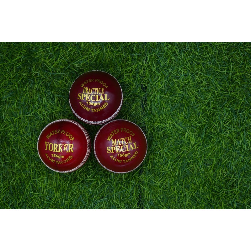 RP PRACTICE SPL CRICKET BALL